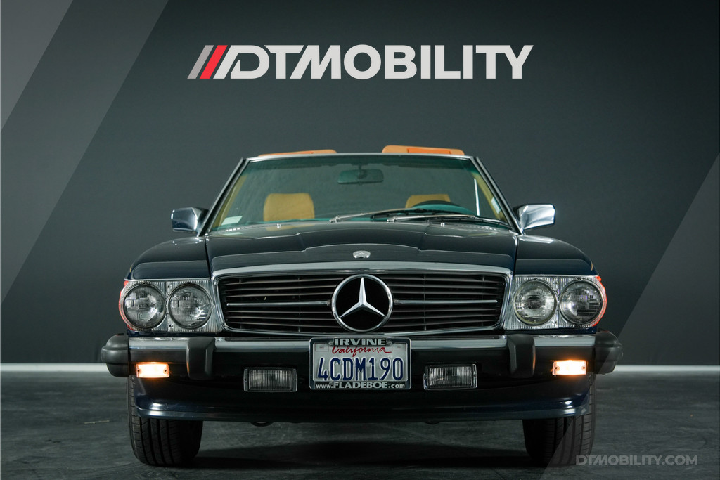 47572481-10.jpg